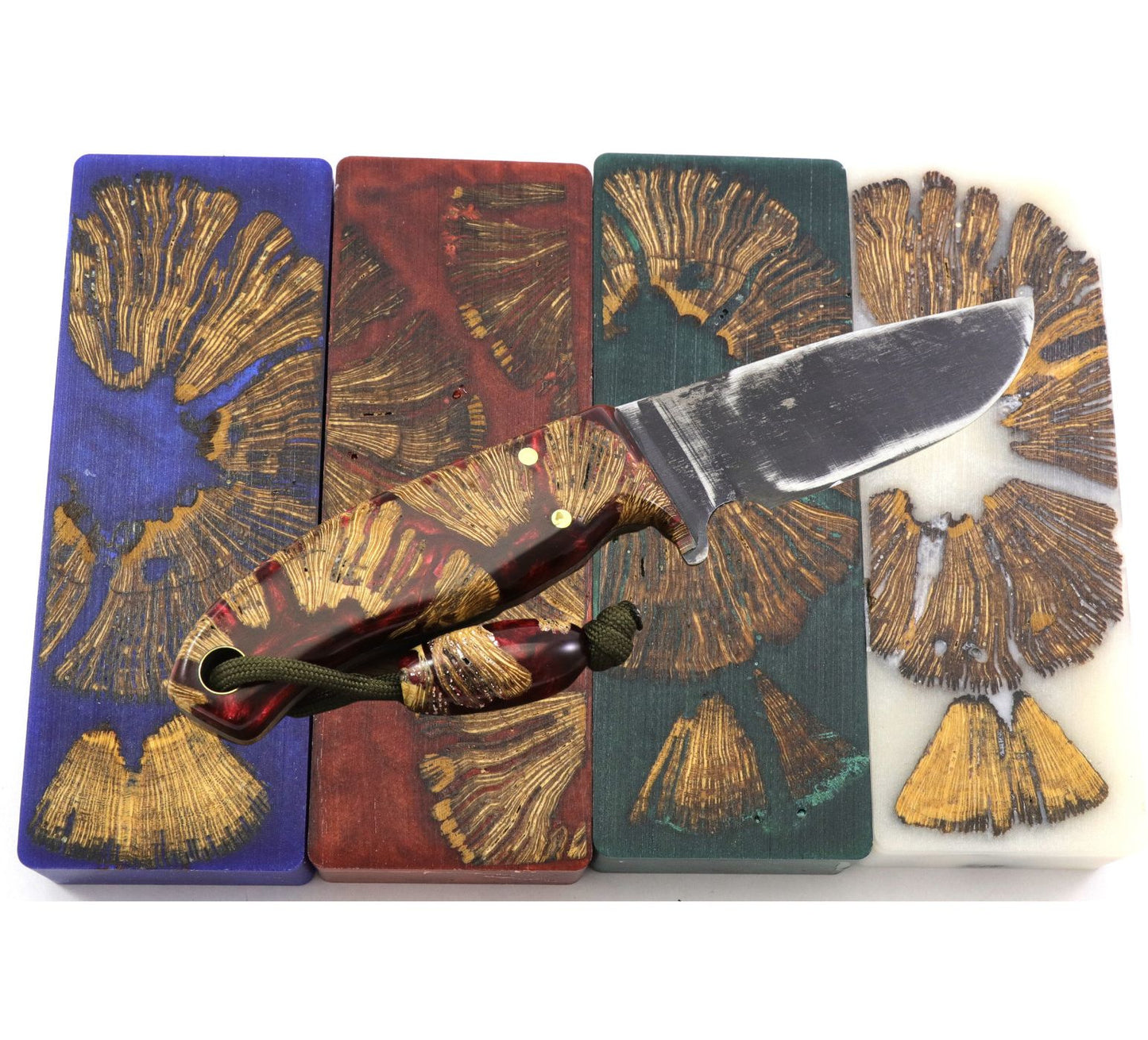 Top Choice - End Grain Cholla Knife Scales