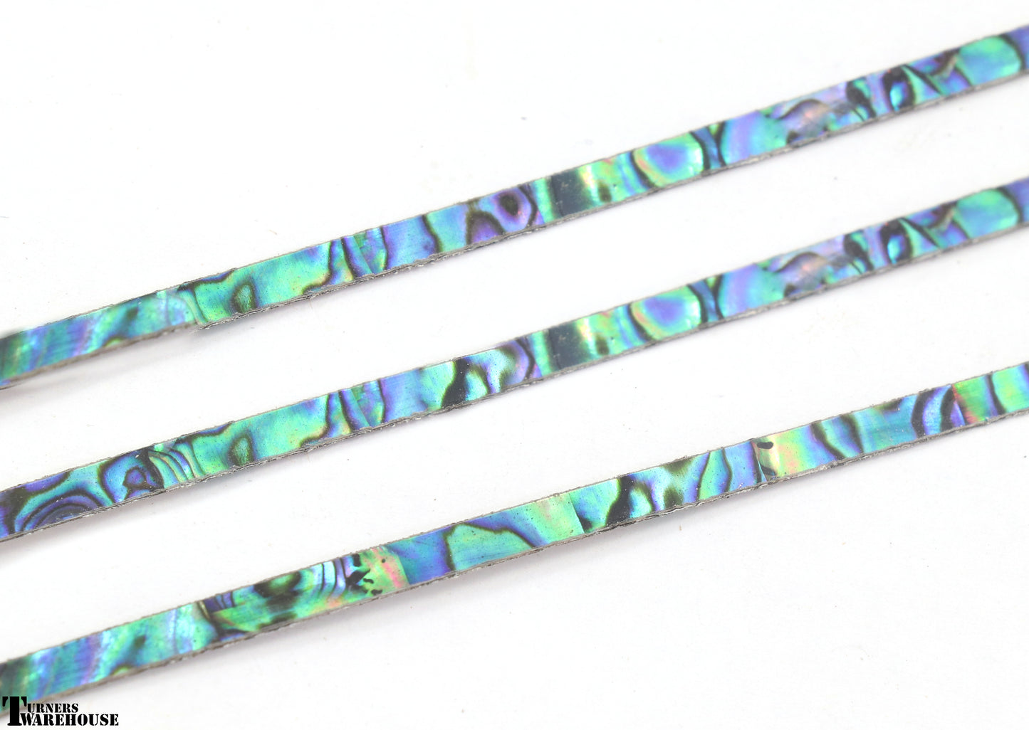 Abalone Strip