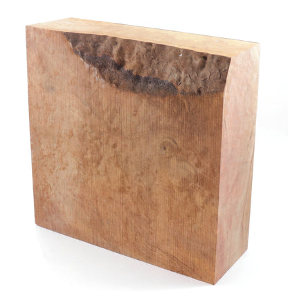 Wood Blank - Bowl