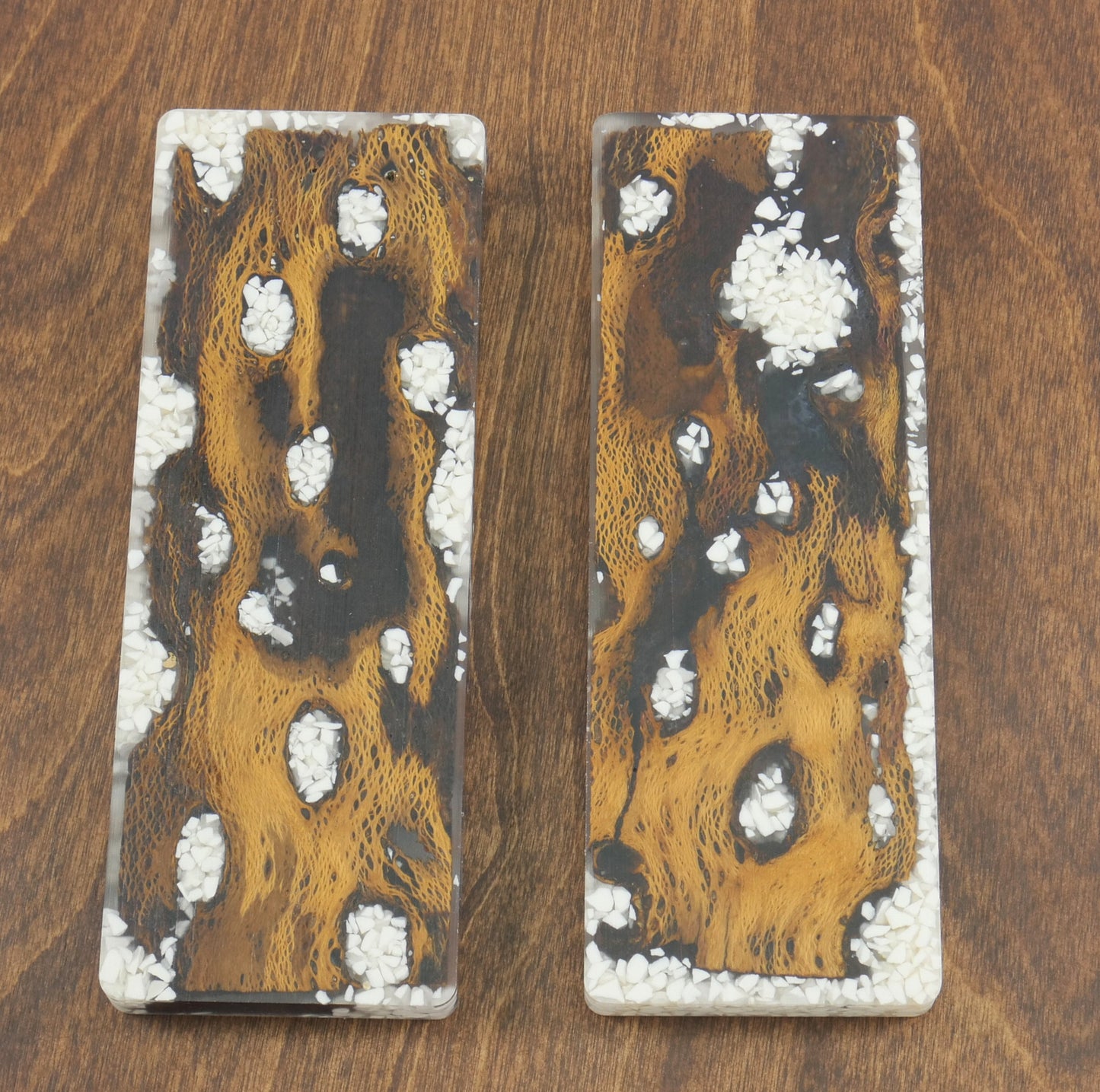 Top Choice - Cholla & Stone Knife Scales