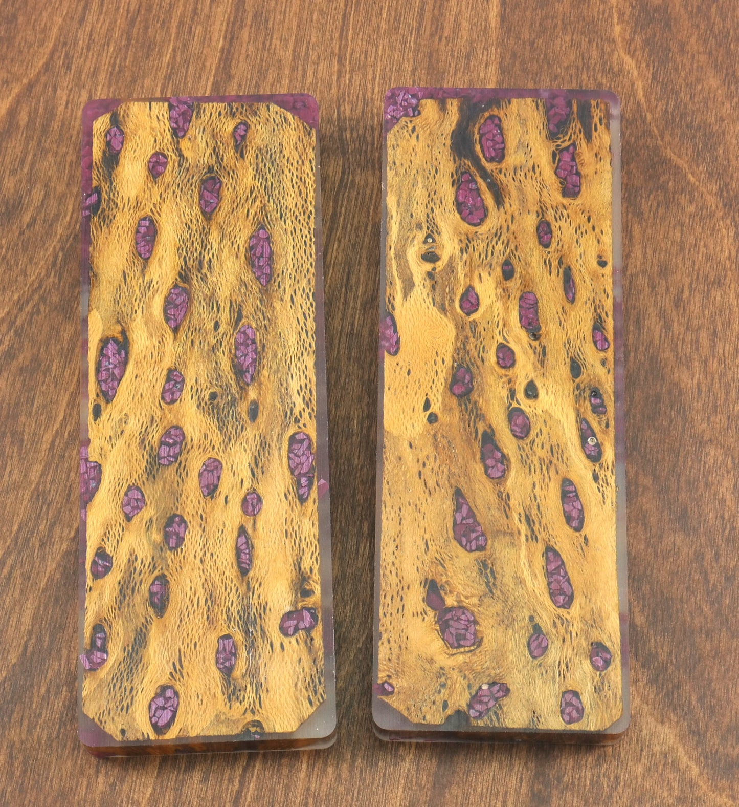 Top Choice - Cholla & Stone Knife Scales