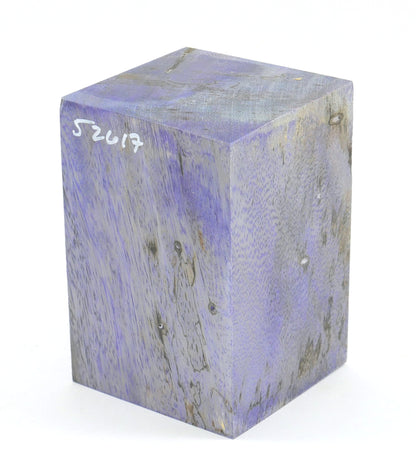 Stabilized Wood Blanks - under 5"