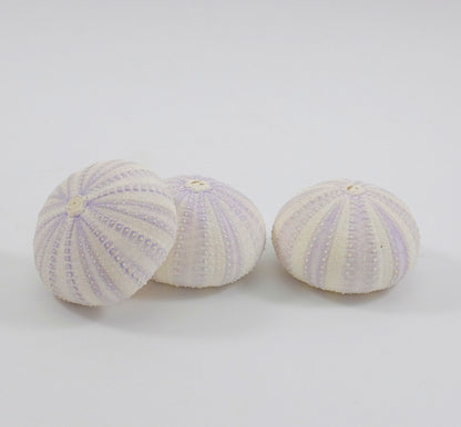 Sea Urchin - for Ornaments
