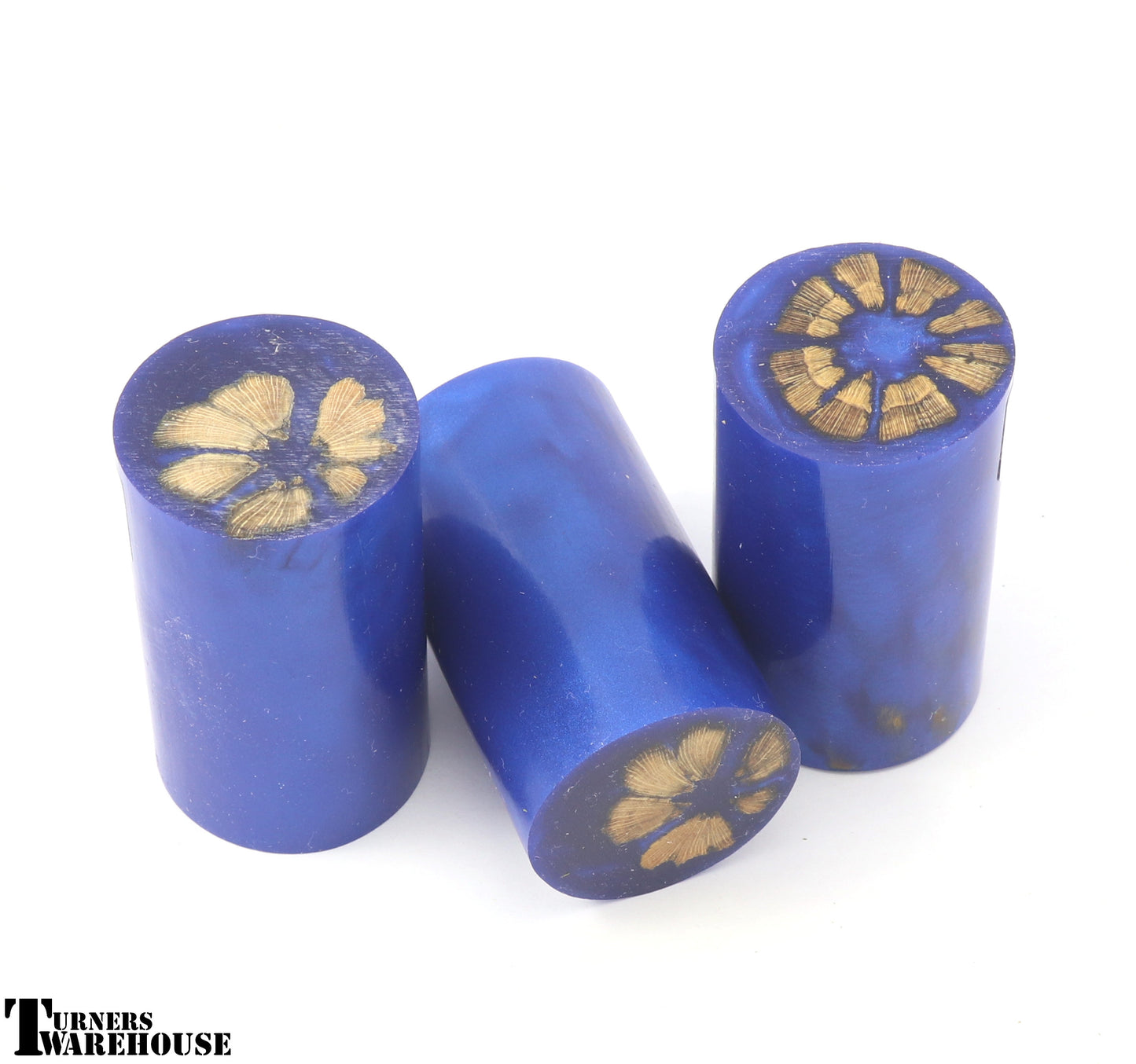 Cholla Bottle Stopper Blanks