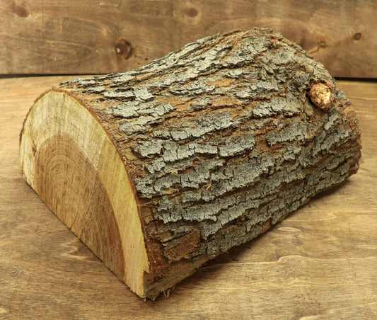 Wood Blank - Bowl/Call/Scale